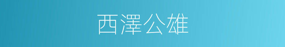 西澤公雄的同義詞