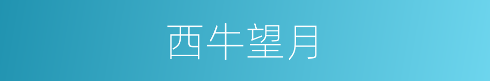 西牛望月的同义词