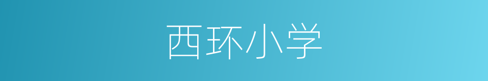 西环小学的同义词