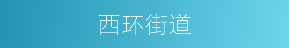 西环街道的同义词