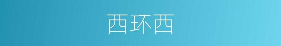 西环西的同义词