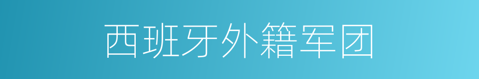 西班牙外籍军团的同义词