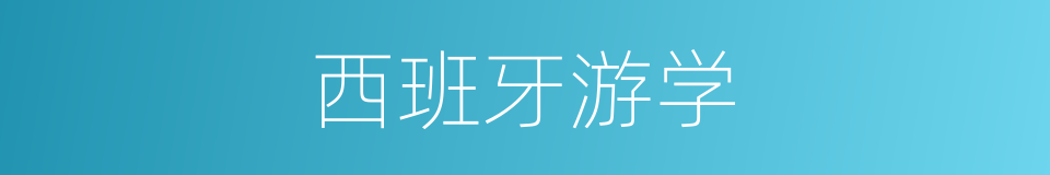 西班牙游学的同义词