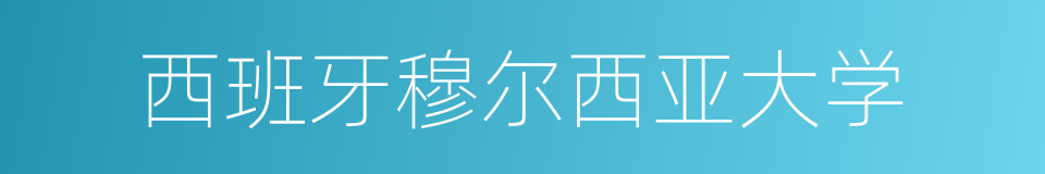 西班牙穆尔西亚大学的同义词