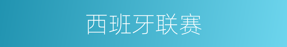 西班牙联赛的同义词