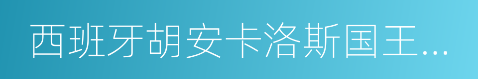 西班牙胡安卡洛斯国王大学的同义词