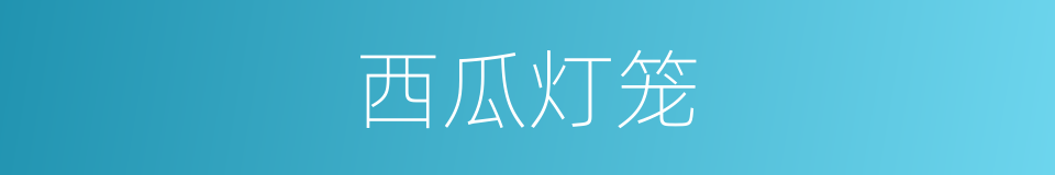西瓜灯笼的同义词