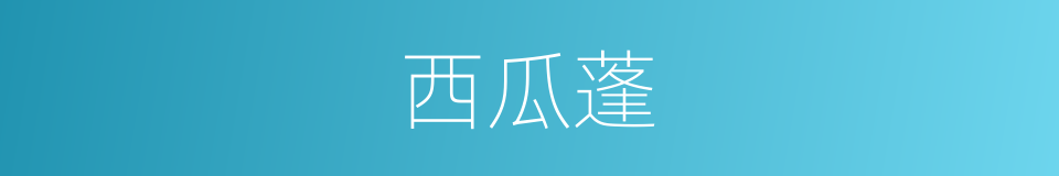 西瓜蓬的同义词