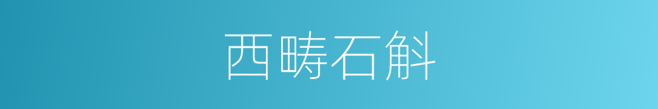 西畴石斛的同义词