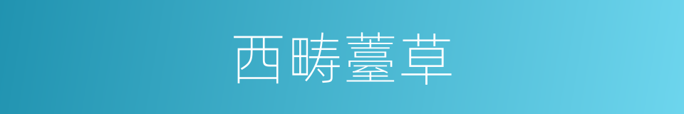 西畴薹草的同义词