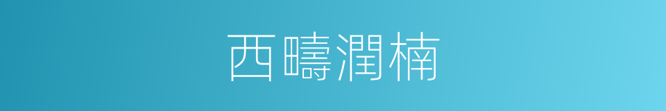 西疇潤楠的同義詞