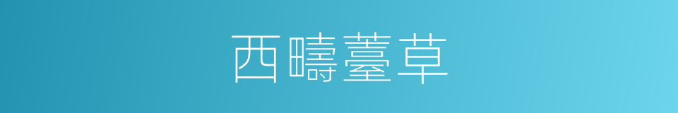 西疇薹草的同義詞