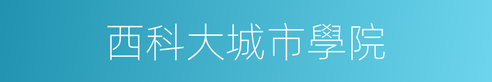 西科大城市學院的同義詞
