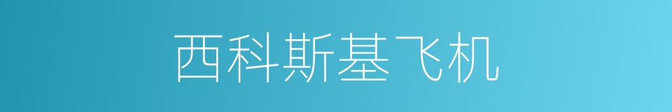 西科斯基飞机的同义词
