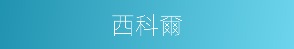 西科爾的同義詞