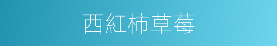 西紅柿草莓的同義詞