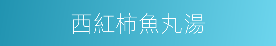 西紅柿魚丸湯的同義詞