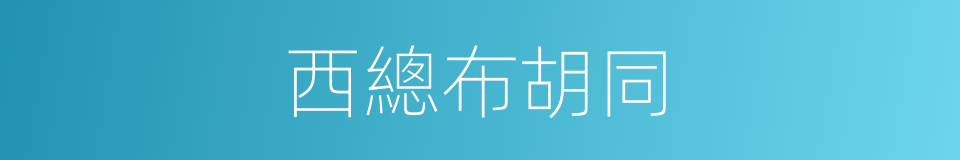 西總布胡同的同義詞