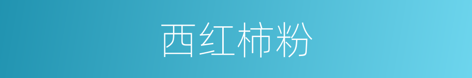 西红柿粉的同义词