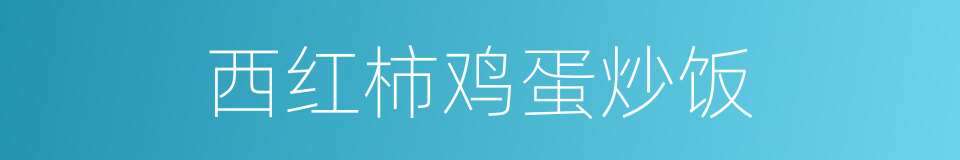 西红柿鸡蛋炒饭的同义词