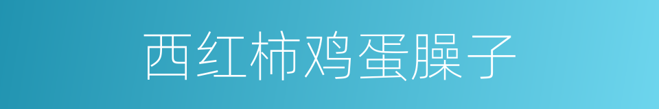 西红柿鸡蛋臊子的同义词