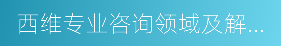 西维专业咨询领域及解决方案的同义词