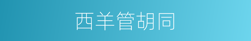 西羊管胡同的同义词