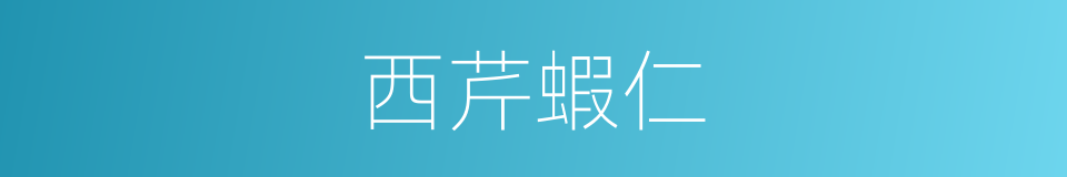 西芹蝦仁的同義詞