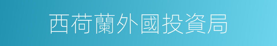 西荷蘭外國投資局的同義詞