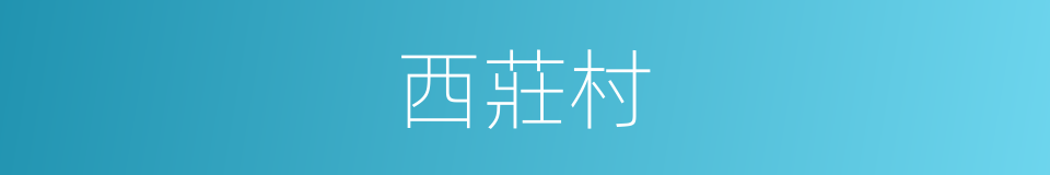 西莊村的同義詞