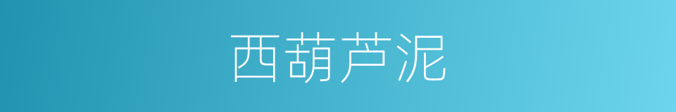 西葫芦泥的同义词