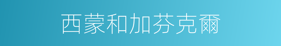 西蒙和加芬克爾的同義詞