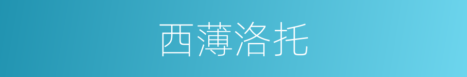 西薄洛托的同义词