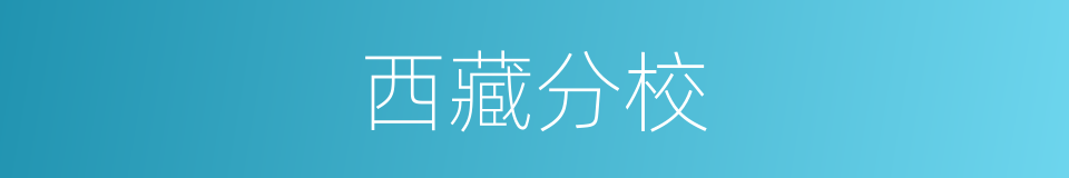 西藏分校的同义词