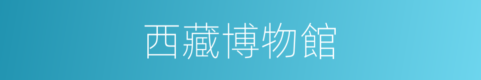 西藏博物館的同義詞