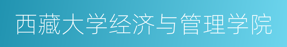 西藏大学经济与管理学院的同义词