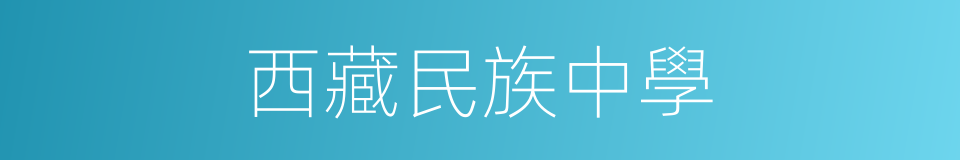 西藏民族中學的同義詞
