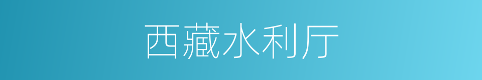 西藏水利厅的同义词