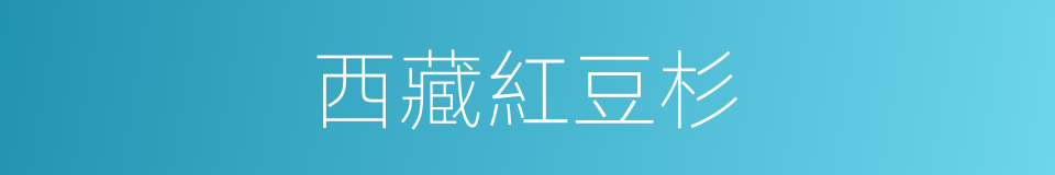 西藏紅豆杉的同義詞