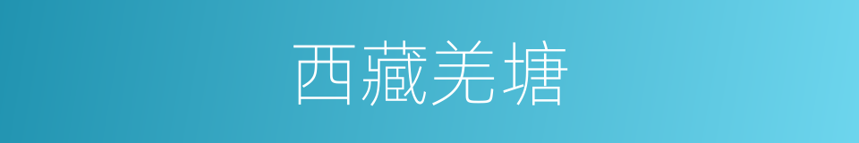 西藏羌塘的同义词