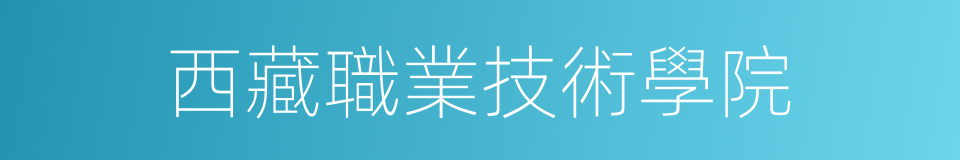 西藏職業技術學院的同義詞