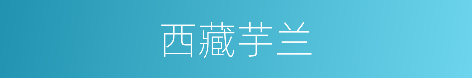 西藏芋兰的意思