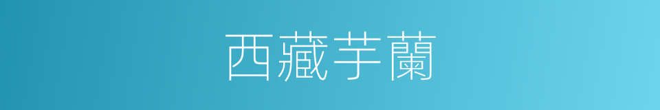 西藏芋蘭的意思