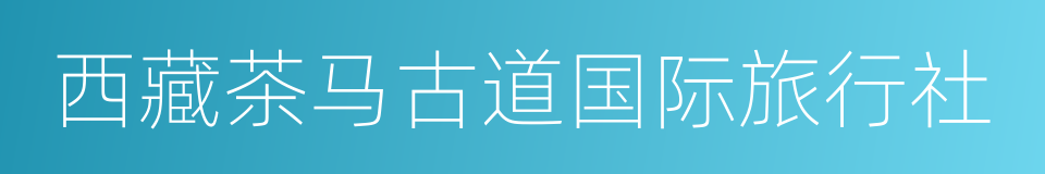 西藏茶马古道国际旅行社的同义词