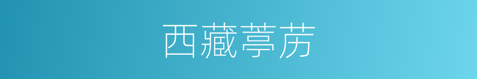 西藏葶苈的同义词
