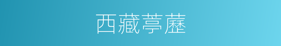 西藏葶藶的同義詞