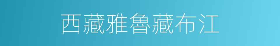 西藏雅魯藏布江的同義詞