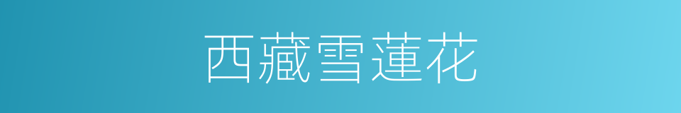 西藏雪蓮花的同義詞