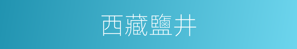 西藏鹽井的同義詞