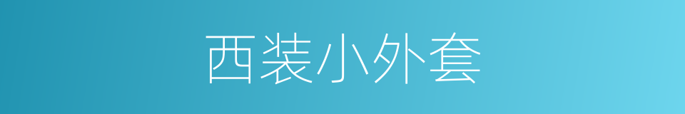 西装小外套的同义词